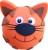 Ginger Tom Cat